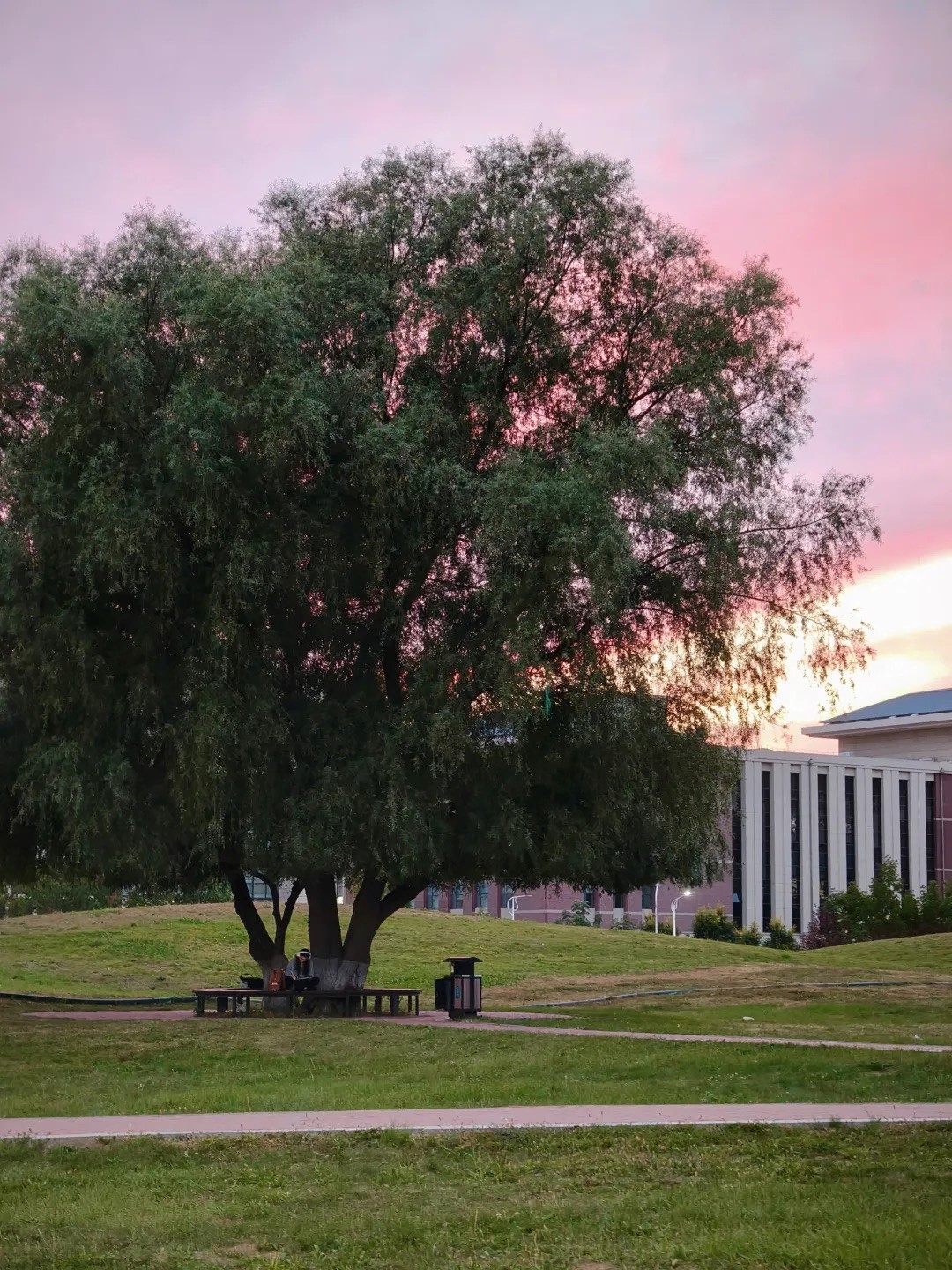 2025年“朋辈协力·心理成长”系列活动——b站
研究生成功开展两院联动“光影寻静，破‘卷’而出”随手拍大赛